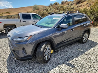 JTMN1RFV0RJ****** 2024 Toyota RAV4