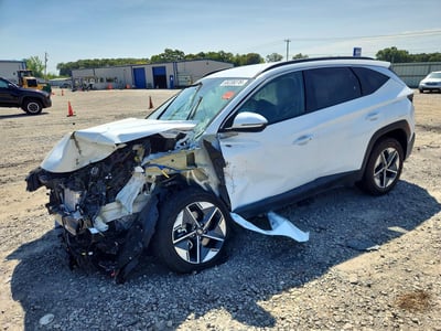 KM8JCDD10TU****** 2026 Hyundai Tucson Hybrid