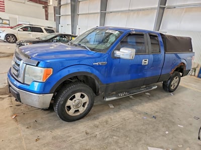 1FTRX14819K****** 2009 Ford F-150