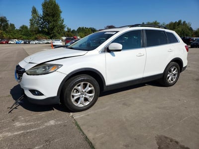 JM3TB2CA1F0****** 2015 Mazda CX-9