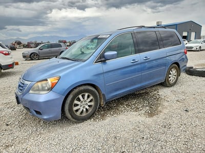 5FNRL38649B****** 2009 Honda Odyssey
