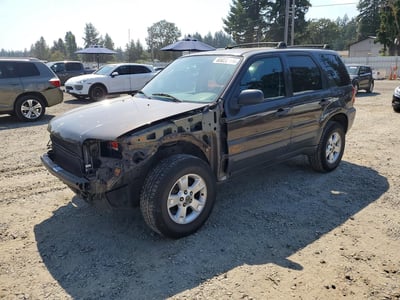 2007 Ford Escape