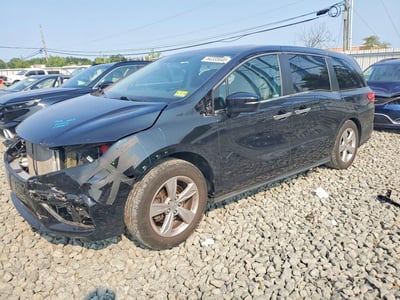 5FNRL6H77KB****** 2019 Honda Odyssey