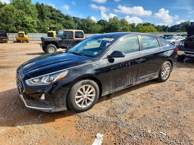 5NPE24AF7KH****** 2019 Hyundai Sonata
