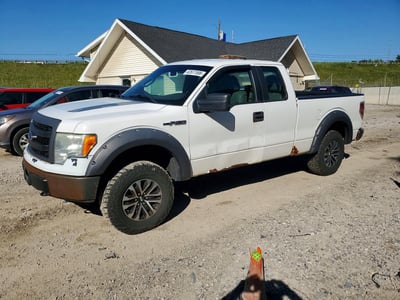 1FTFX1EF4EK****** 2014 Ford F-150