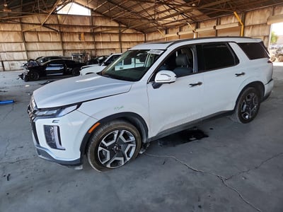 KM8R44GE2RU****** 2024 Hyundai Palisade