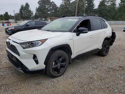 2019 Toyota RAV4 Hybrid