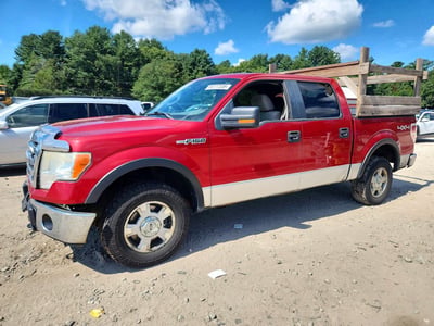 1FTFW1EVXAF****** 2010 Ford F-150