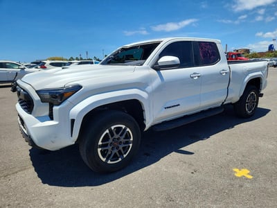 3TYLB5FN6RT****** 2024 Toyota Tacoma