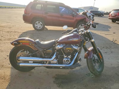 2020 Harley-Davidson Flsl