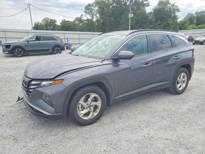 KM8JB3DE2RU****** 2024 Hyundai Tucson
