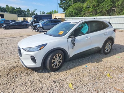 1FMCU0GN5RU****** 2024 Ford Escape