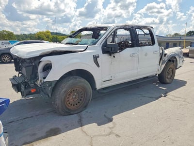 1FTFW1ED3PF****** 2023 Ford F-150