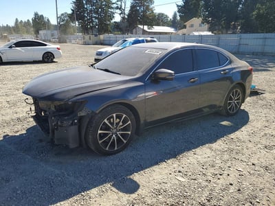 19UUB2F73FA****** 2015 Acura TLX