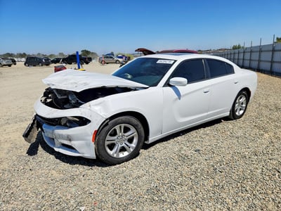2C3CDXBG0LH****** 2020 Dodge Charger