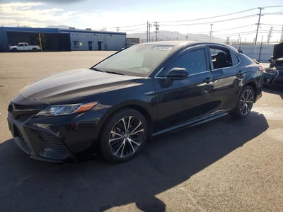 4T1G31AK5LU****** 2020 Toyota Camry