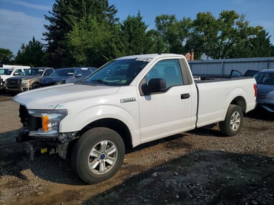 1FTMF1C51KK****** 2019 Ford F-150