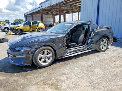 1FA6P8TH8K5****** 2019 Ford Mustang