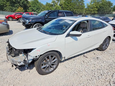 JHMFC1F31KX****** 2019 Honda Civic