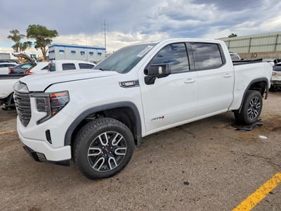 3GTUUEE82PG****** 2023 GMC Sierra 1500