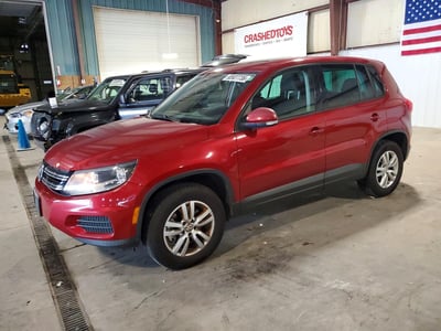 WVGBV3AXXDW****** 2013 Volkswagen Tiguan