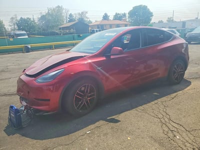 7SAYGDEE0RF****** 2024 Tesla Model Y