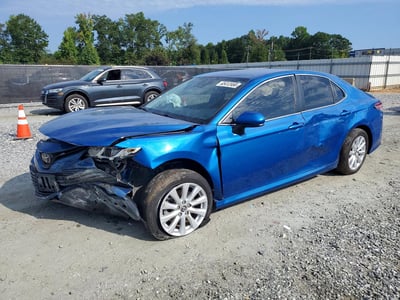 4T1B11HKXKU****** 2019 Toyota Camry