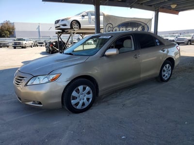4T4BE46K19R****** 2009 Toyota Camry