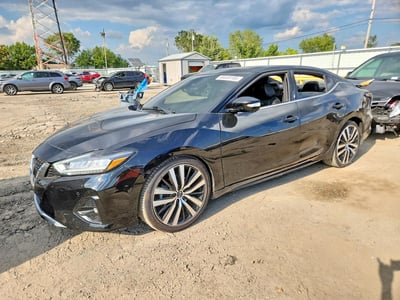 1N4AA6AV8KC****** 2019 Nissan Maxima