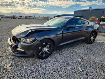 1FA6P8AM8F5****** 2015 Ford Mustang