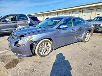 1N4AA5AP6AC****** 2010 Nissan Maxima