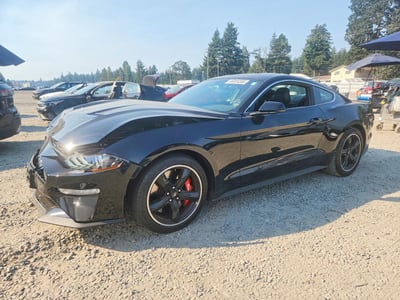 1FA6P8K02K5****** 2019 Ford Mustang