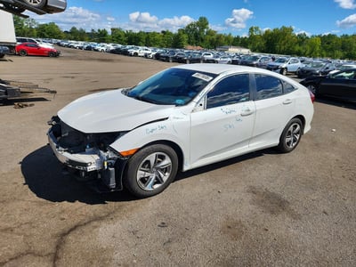 2HGFC2F69KH****** 2019 Honda Civic