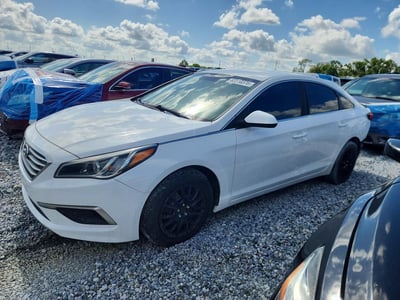 5NPE24AF0HH****** 2017 Hyundai Sonata