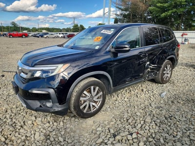 5FNYF6H57MB****** 2021 Honda Pilot