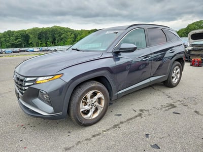 5NMJBCDE1RH****** 2024 Hyundai Tucson
