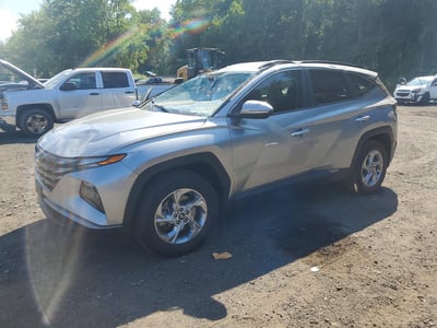 5NMJBCAE7PH****** 2023 Hyundai Tucson