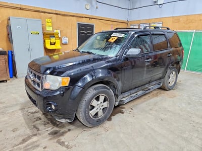 2010 Ford Escape