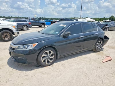 1HGCR2F81HA****** 2017 Honda Accord
