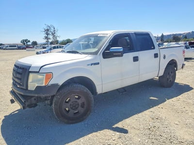 1FTEW1E8XAF****** 2010 Ford F-150