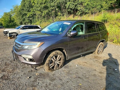 5FNYF6H55JB****** 2018 Honda Pilot
