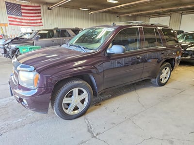 1GNDT13S682****** 2008 Chevrolet Trailblazer