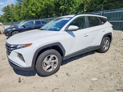 5NMJBCAE6PH****** 2023 Hyundai Tucson