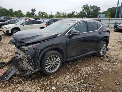 2T2GKCEZ6SC****** 2025 Lexus NX