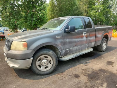 2004 Ford F-150