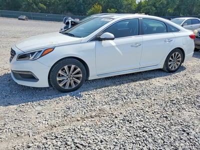 5NPE34AFXHH****** 2017 Hyundai Sonata
