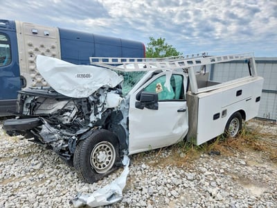 3GCNKAED1SG****** 2025 Chevrolet Silverado 1500