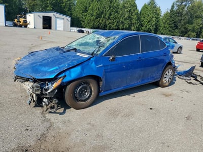 4T1C31AK0LU****** 2020 Toyota Camry Hybrid