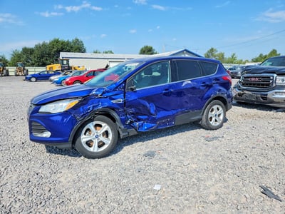 1FMCU0G72FU****** 2015 Ford Escape