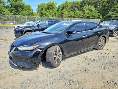 1N4AA6DV3LC****** 2020 Nissan Maxima